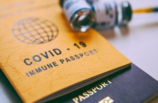 Le "passeport vaccinal" va donner des opportunités pour la reprise du tourisme national 