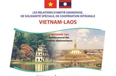 Les relations d'amitié grandiose, de solidarité spéciale et de coopération intégrale Vietnam-Laos
