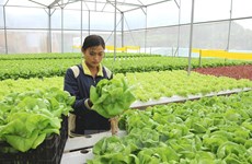 IFC s'engage à soutenir le Vietnam dans le développement de l'agriculture verte
