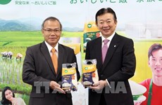 Le riz vietnamien ST25 est désormais présent sur le marché japonais