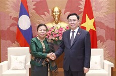 Resserrement des relations législatives Vietnam-Laos