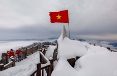  Des touristes se complaisent à voir la chute de neige sur le mont Fansipan