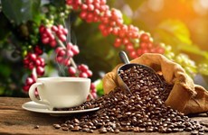 Augmenter la valeur du café vietnamien