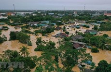 Le Vietnam nécessitera 400 milliards de dollars pour répondre au défi du changement climatique