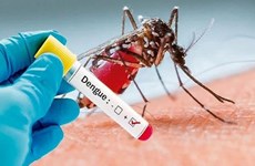  La dengue a tendance à se propager largement au Laos