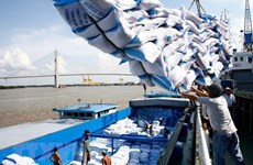Opportunités d’exportations de riz vers l’Egypte