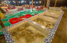 Ile de Binh Ba, capitale de l'élevage de homard sur la baie de Cam Ranh