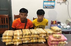 Quang Tri: la plus grande quantité de stupéfiants saisis à la frontière Vietnam – Laos