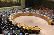 Conseil de sécurité: Le Vietnam préside à des séances sur les questions en Chypre et en Libye