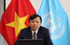Le Vietnam appelle à un soutien international accru à la région des Grands Lacs