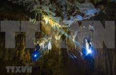La grotte Tra Tu - une destination impressionnante à Ninh Binh
