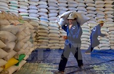 Le Vietnam participe à une adjudication d’exportation de riz aux Philippines