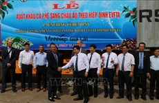 EVFTA : le Vietnam exporte ses premiers lots de café vers l’UE