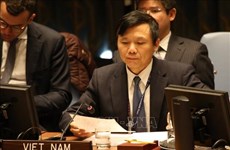 Le Vietnam exhorte les parties au Yémen à reprendre les pourparlers