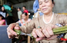 L’extraordinaire soie de lotus vietnamienne