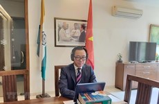 La diplomatie contribue à renforcer la position du Vietnam sur la scène internationale