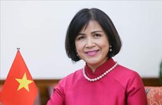 OMC : le Vietnam participe au 2e examen de la politique et des pratiques commerciales du Myanmar