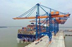 Le transport de marchandises en conteneurs via les ports maritimes de Ba Ria-Vung Tau en hausse 