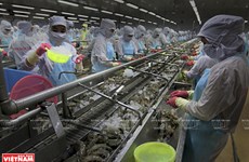 Vietnam : l’aquaculture sera un secteur économique national important
