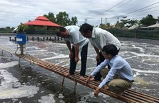 Des mesures pour développer la filière aquacole du Vietnam d’ici 2030