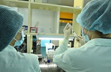 Le Vietnam s’efforce de disposer bientôt d'un vaccin anti-COVID-19 sûr et efficace