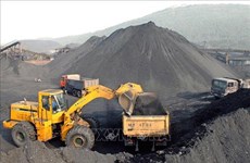 Le gouvernement demande une gestion stricte des minerais