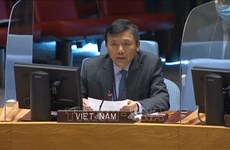 Le Vietnam vote la Résolution de l’ONU contre l’embargo imposé par les États-Unis à Cuba