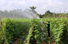 Publication du rapport 2021 sur l'agriculture numérique au Vietnam