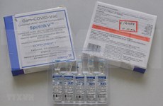 La communauté vietnamienne en Russie au chevet du Fonds de vaccins anti-COVID-19