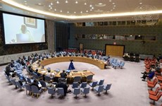 CDS de l’ONU : la transition est une phase cruciale dans le continuum de la paix, selon le Vietnam