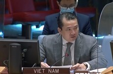 CDS de l’ONU : le Vietnam à des réunions sur les situations au Soudan du Sud et en Syrie