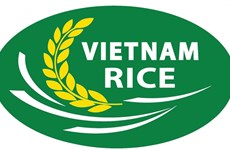 Le label «riz vietnamien» reconnu dans une vingtaine de marchés d’exportation 
