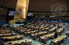 ONU : un diplomate vietnamien réélu à la Commission du droit international