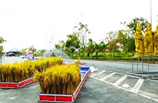 Le 5e festival du riz vietnamien à Vinh Long