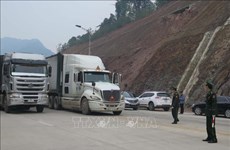 Règlement de la congestion des marchandises à la frontière avec la Chine