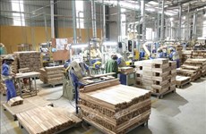 Le Vietnam table sur 10 mds de dollars de ventes de bois et meubles aux États-Unis