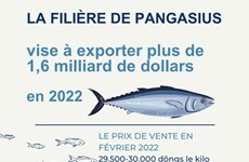 La filière de pangasius vise à exporter plus de 1,6 milliard de dollars en 2022 