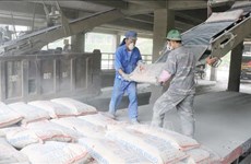 Les Philippines envisagent d’étendre les mesures de sauvegarde au ciment importé du Vietnam