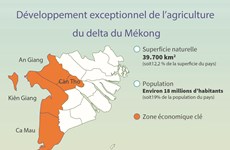 Développement exceptionnel de l’agriculture du delta du Mékong 