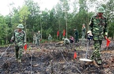 La KOICA et le PNUD soutiennent le règlement des conséquences des bombes et mines au Vietnam