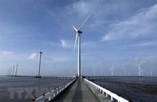 Le Vietnam déterminé à produire de l'électricité verte