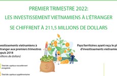 Les investissement vietnamiens à l’étranger se chiffrent à 211,5 millions de dollars