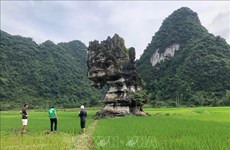Les autorités de la province de Cao Bang travaillent avec des experts du Réseau mondial des géoparcs