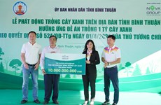 Campagne de plantation d’arbres à Binh Thuân pour protéger l’environnement