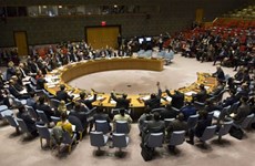 Contributions du Vietnam en tant que membre non permanent du Conseil de sécurité de l’ONU 
