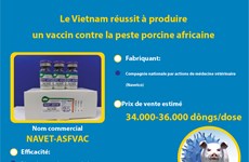 Le Vietnam réussit à produire un vaccin contre la peste porcine africaine