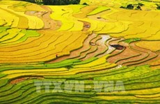 Le Vietnam nominé dans 10 catégories aux World Travel Awards 2022