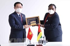 Promotion de l'amitié traditionnelle entre le Vietnam et le Mozambique