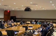 ONU: le Vietnam copréside la consultation du projet de résolution contre les épidémies