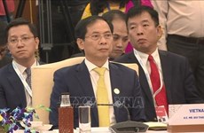 Le ministre Bui Thanh Son à une réunion spéciale des ministres des Affaires étrangères ASEAN-Inde